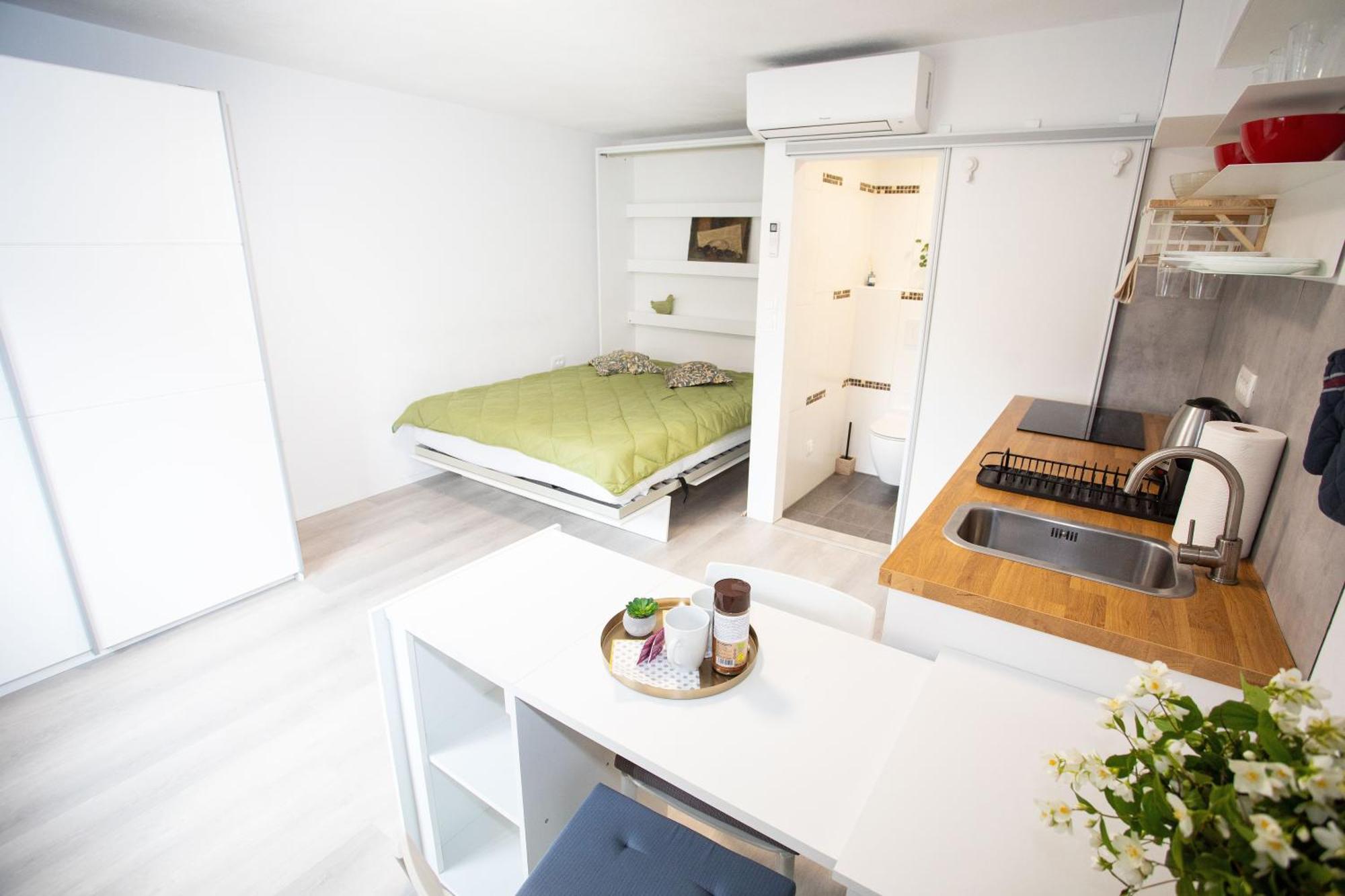 Apartment Studio Green